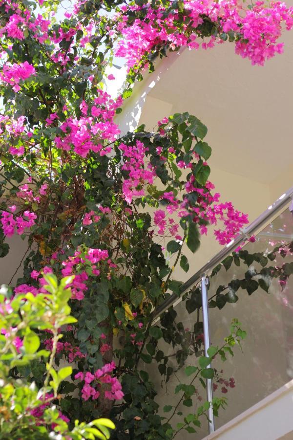Acelya Otel Bodrum Eksteriør bilde